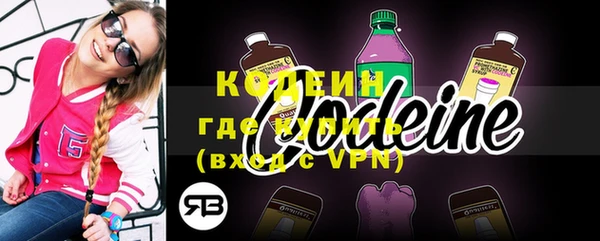 шишки Балахна