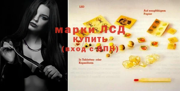 шишки Балахна