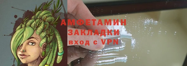 шишки Балахна