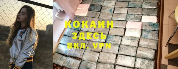 шишки Балахна