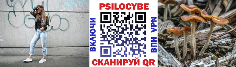 наркошоп  Лесосибирск  Псилоцибиновые грибы MAGIC MUSHROOMS 